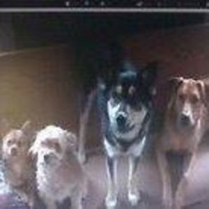 Meet your Posher, Maryann